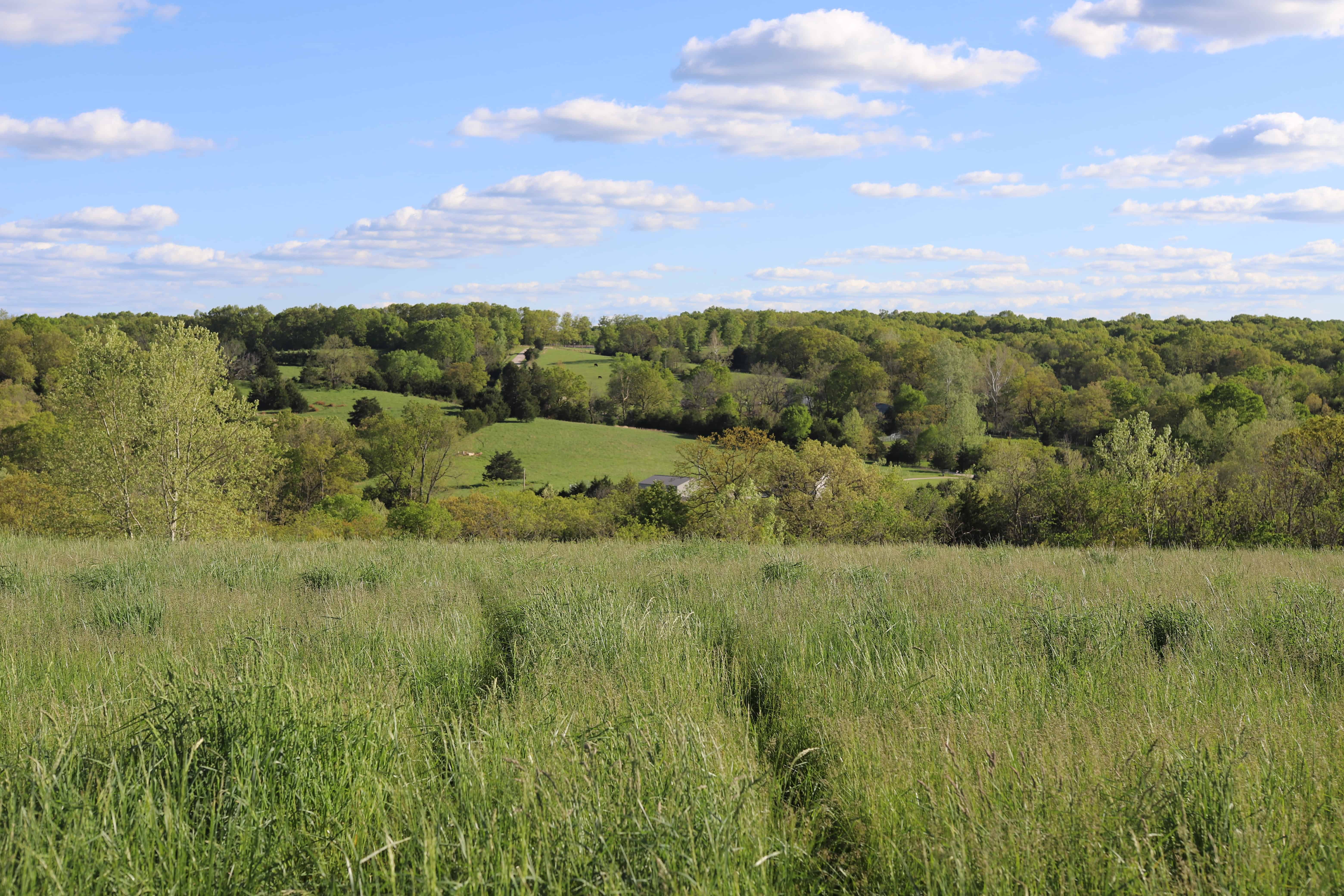 The rolling Ozarks landscape
